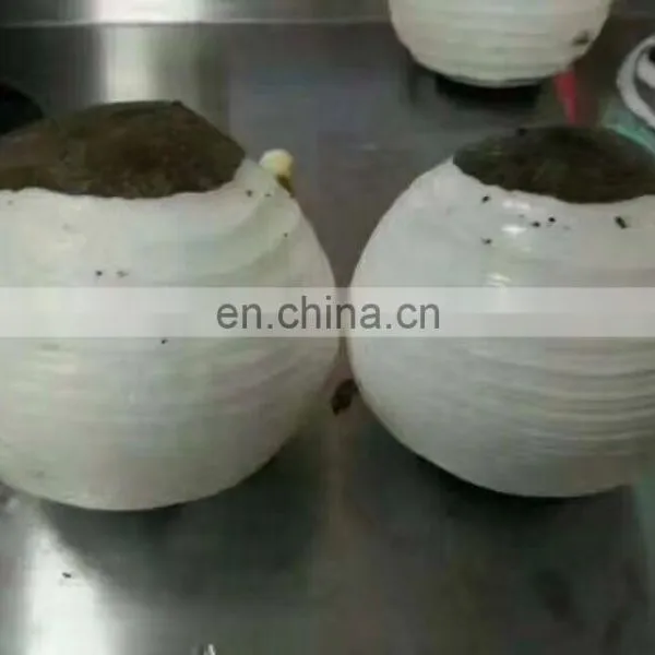 Industrial Full Automatic Coconut Peeling Machine/pineapple Peeler photo-4