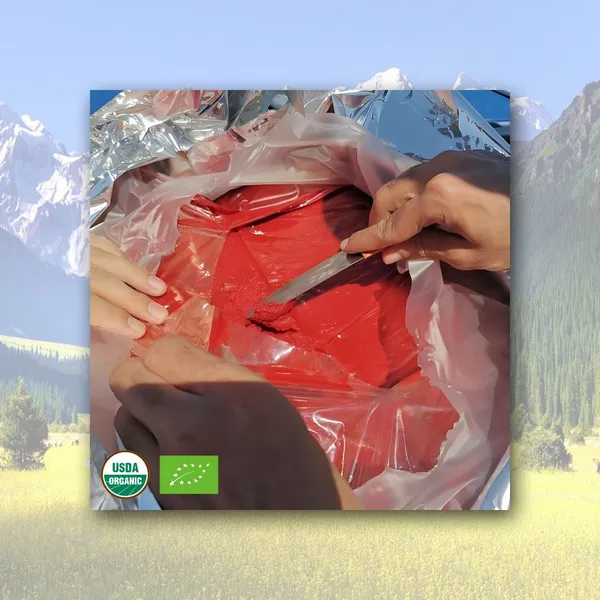Organic 28/30 Brix Tomato Paste Concentrate in Drum Packaging Cold/Break Hot Bulk Packed photo-5