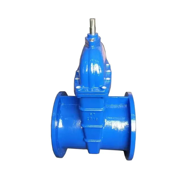 Hot Sale DIN F5 NRS Resilient Seat EPDM Gate Valve PN16 Ductile Iron Gate Valve for Water Pipe photo-5