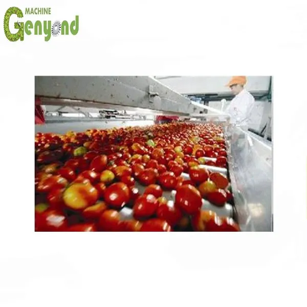 Commercial Ketchup Machine Make / Small Scale Tomato Paste Making Machine / Ketchup and Sauce Making Machine photo-4