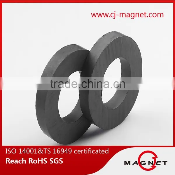 China Y20 Ferrite Magnets for Speakers photo-4