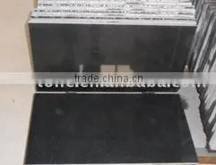 Natural Black Granite