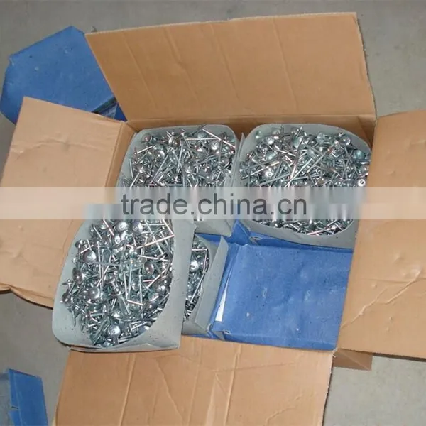 China Roofing Screw Nails With Plastic Caps / Umbrella Roofing Nails Supplier photo-4