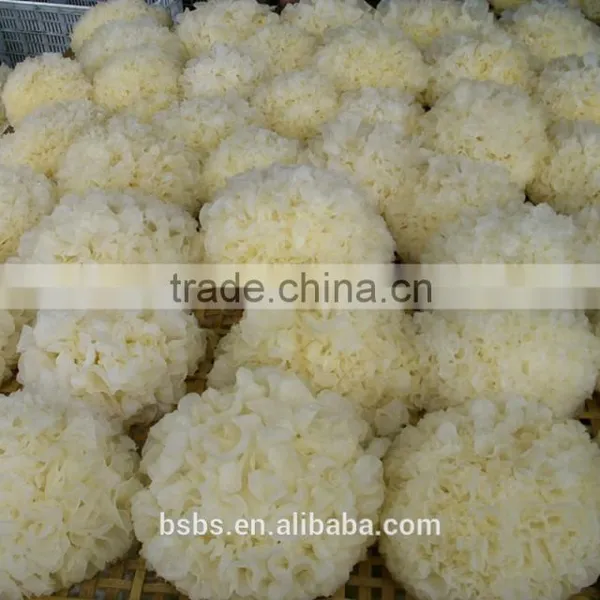 Top Quality Tremella Chinese White Fungus photo-2