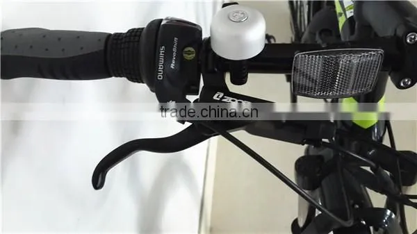 Two Battery Ebike With High Power photo-5