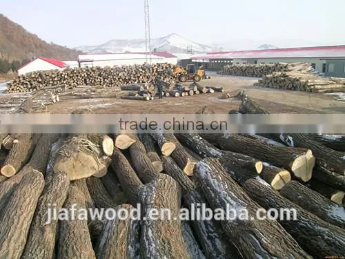Baltic/Russian Birch Logs photo-5