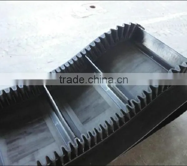 World Best Selling Products Foundries ep Conveyor Belt Best Selling Products in China photo-4