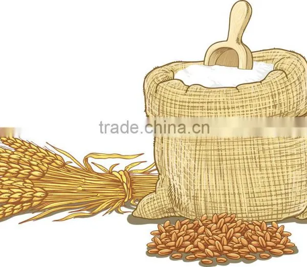 High Gluten Flour photo-6