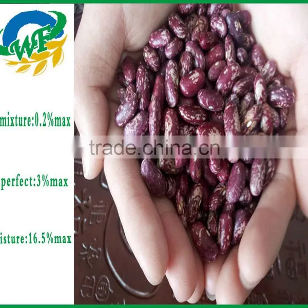 Chinese Purple Speckled Kidney Beans for Sale photo-3