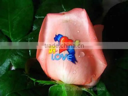 Cartridge Flower Printer