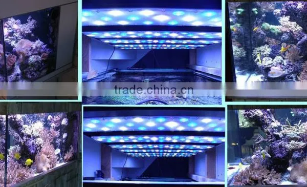 Full Size 2016 Highly Recommend Intelligent Programmable LED Aquarium Light for Coral and Reef photo-4