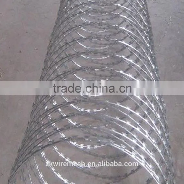 Express China Factory Low Price Concertina Razor Barbed Wire for Sale photo-6