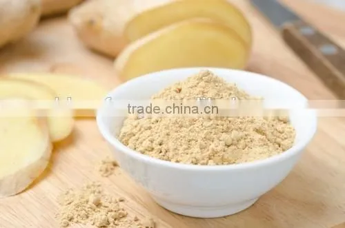 High Quality Ginger Extracg Powder Low Price Ginger Powder (water Soluble) photo-2