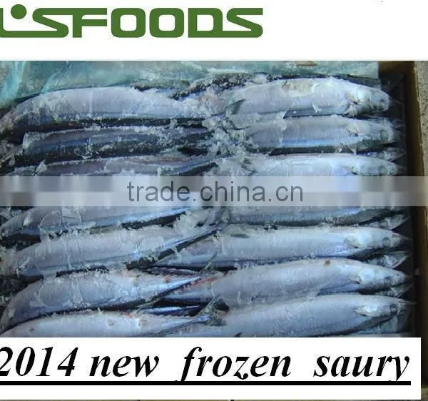 2015 Frozen Pacific Saury From China photo-3