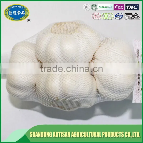 Fresh Normal White Garlic Pure White Garlic China Supplier photo-2