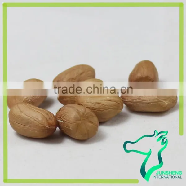 2016 New Crop Premium Quality Chinese Red Skin Peanut Kernel photo-6