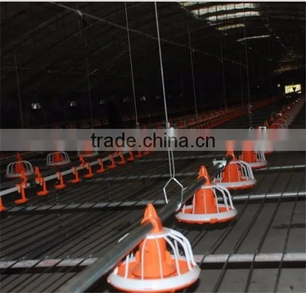 Full Automatic Africa Farm Poultry Equipment for Chickens photo-3