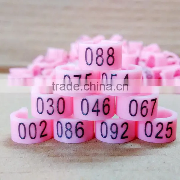 Pigeon Ring,racing Pigeon Rings,benzing Pigeon Ring photo-3