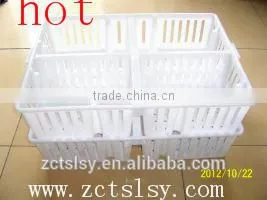 the Hot Quality the High Utilization Rate of Poultry Transport Box for Chicken and Duck photo-6