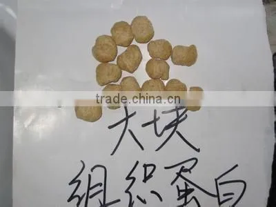India Stylish 500kg/h Textured Soybean Protein Making Extruder Machine photo-6