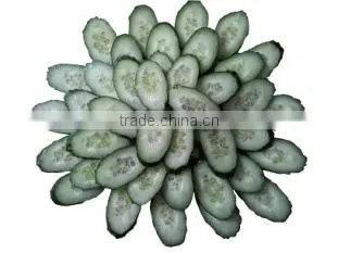 OULENO Corm Qiecai Machine Automatic Slicing Machine / Universal Bar Ding Chopping Machine Use of a Machine Sausage Casing photo-3