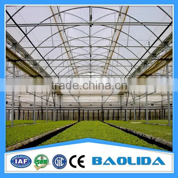 China Supplier Cheap Price Tunnel Greenhouse photo-5