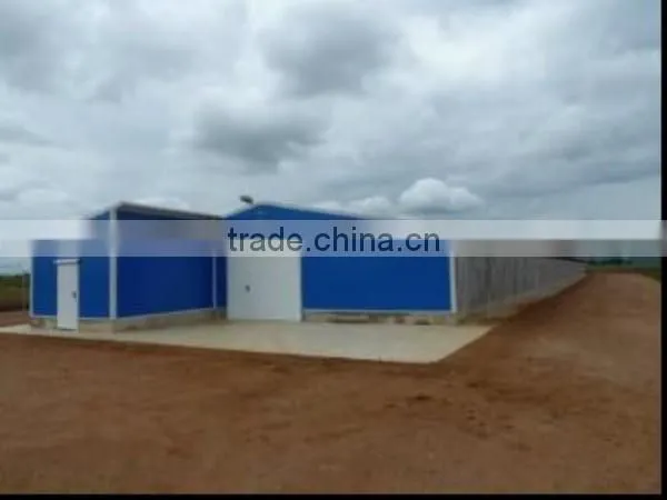 125x21x2.5m Prefabricated Steel Structure Chicken House to Ukraine photo-3
