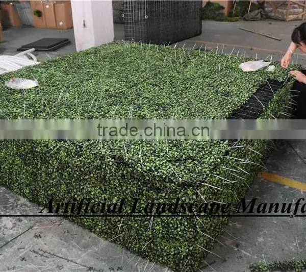 Outdoor Artificial Boxwood Hedge Hot Sale With Milan Grass for Decoration photo-3