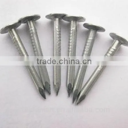 Galvanized Clout Nails With Flat Head/ Clout Nail Roofing Nails photo-3