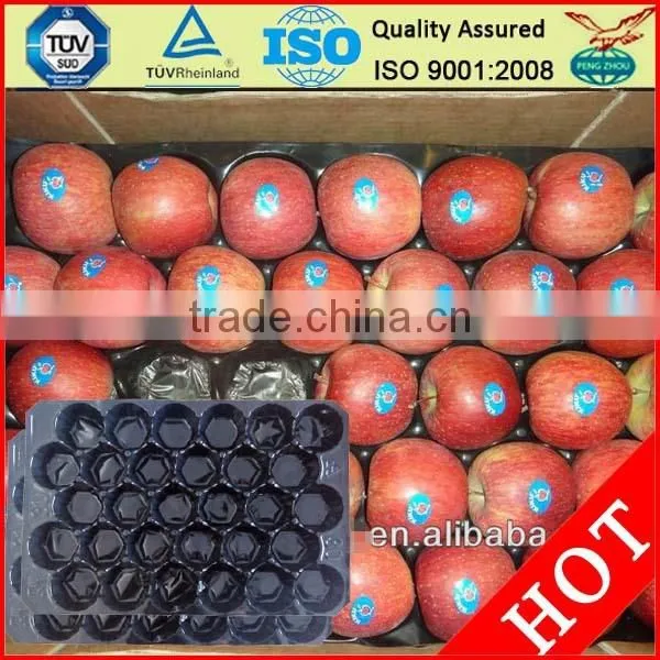 Disposable Plastic Fruit Tray Clear Disposable Plastic Pvc Fruit Tray photo-3