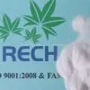 Feed Grade Manganese Sulphate Monohydrate Powder