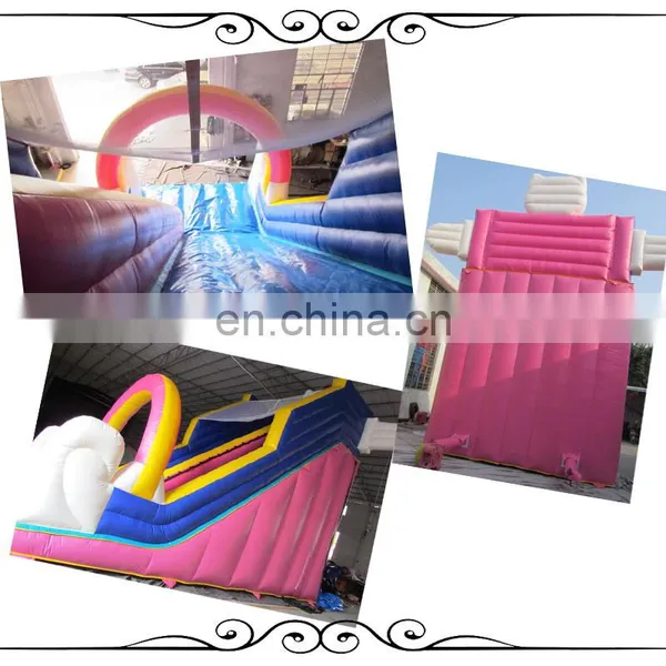 Popular Theme Park Slides, Cat Inflatable Bouncy House, ,inflatable Castle photo-3