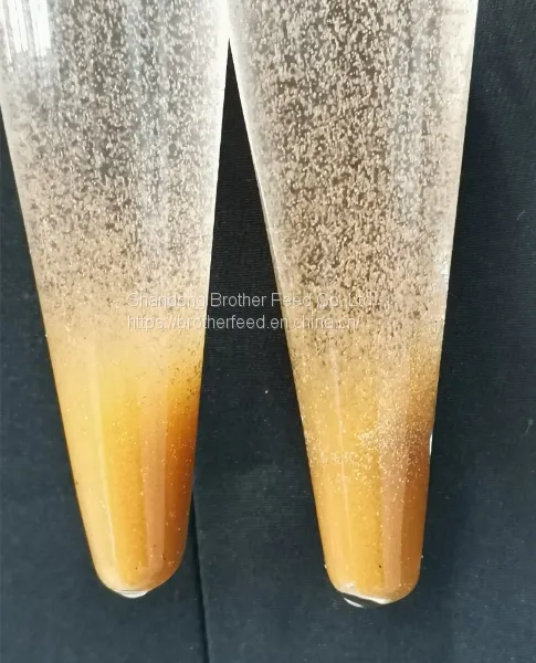 China Supplier Artemia Cysts BBS Brine Shrimp Eggs Bohai Bay Eggs 100% Pure Natural Fish Feed photo-4