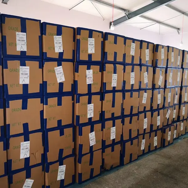Xiuyan Funong Edible Fungi Production Professional Cooperatives company overview - view 4