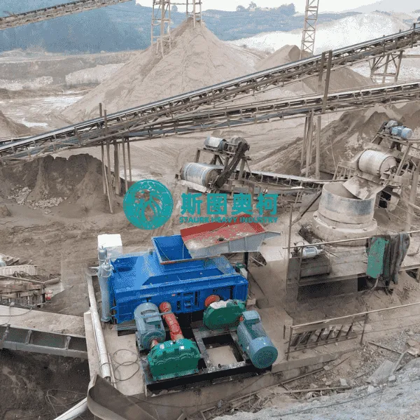 Double Roller Crusher Spare Parts Supplier photo-3