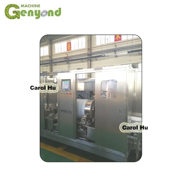 Factory Shanghai Genyond High Pressure Process Pasteurization Machine Sterilizer Sterilization Equipment Hpp Machine Shellfish photo-6