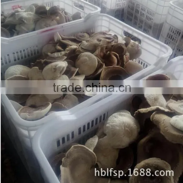 5-7 cm Big Cap Dried Smooth Low Price Shiitake Mushroom/ Mushroom Cap photo-3