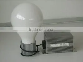 Induction Lamp