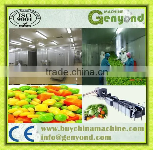 Instant Freezer/meat/food Freezing Machine 500kg/h photo-5