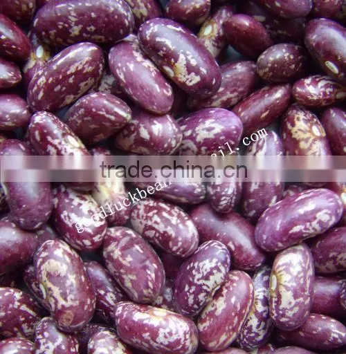 New Crop Heilongjiang Origin PSKB Long Shape photo-5