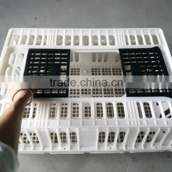 Plastic Hencoop for Transportation photo-2
