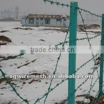 Hot-dipped /electric Barbed Wire /Anping Professional Factory photo-4