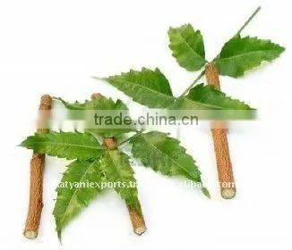 Pure Neem Oil