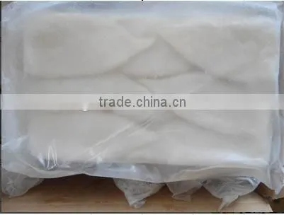 Whole Frozen Squid Tube U5,U7,U10-U20 photo-5