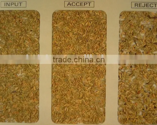 5000+pixel 2016 Pepper Color Sorter With Fast Detection and High Identification Rate,pepper Grading Machine photo-5