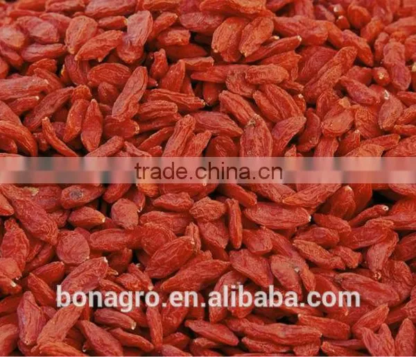 Goji