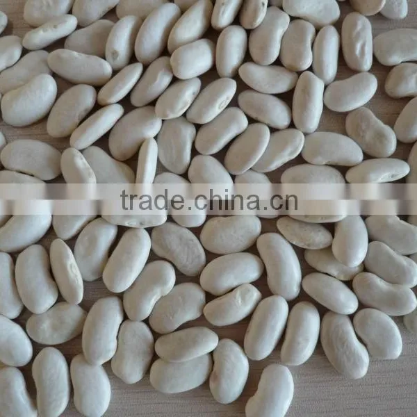 2014 Different Varieties of White Kidney Beans From China With Cheap Price photo-4
