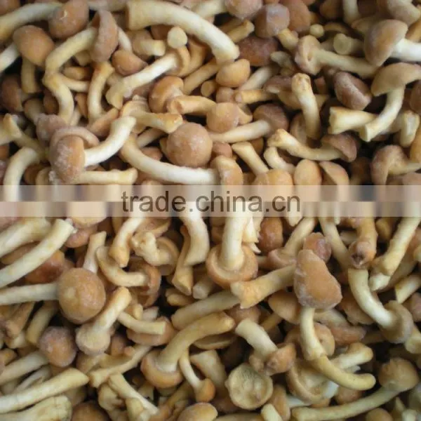 Frozen Mushroom Nameko