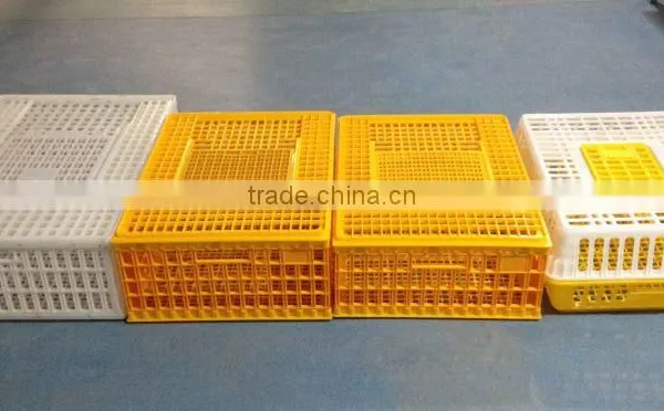Plastic Chick Cage for Sale Made in China photo-6