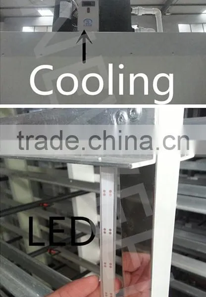 Neweek Combine Heating Tube Hydroponic Wheat Corn Alfalfa Sprouting Machine photo-3